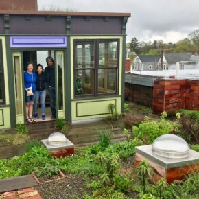 Green Roof Opening