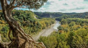 NATURE PRESERVES DAY
