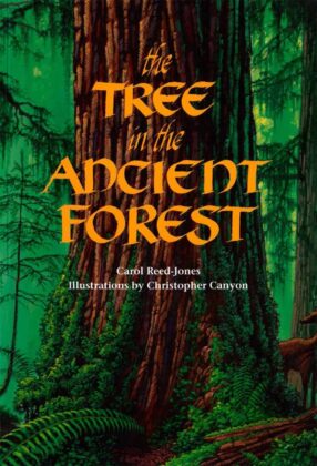 ANCIENT FOREST DAY: KIDS ART & SKIT