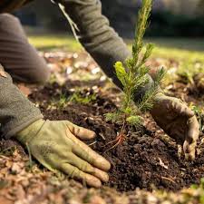 DARLING FAMILY DAY: TREE PLANTING CEREMONY