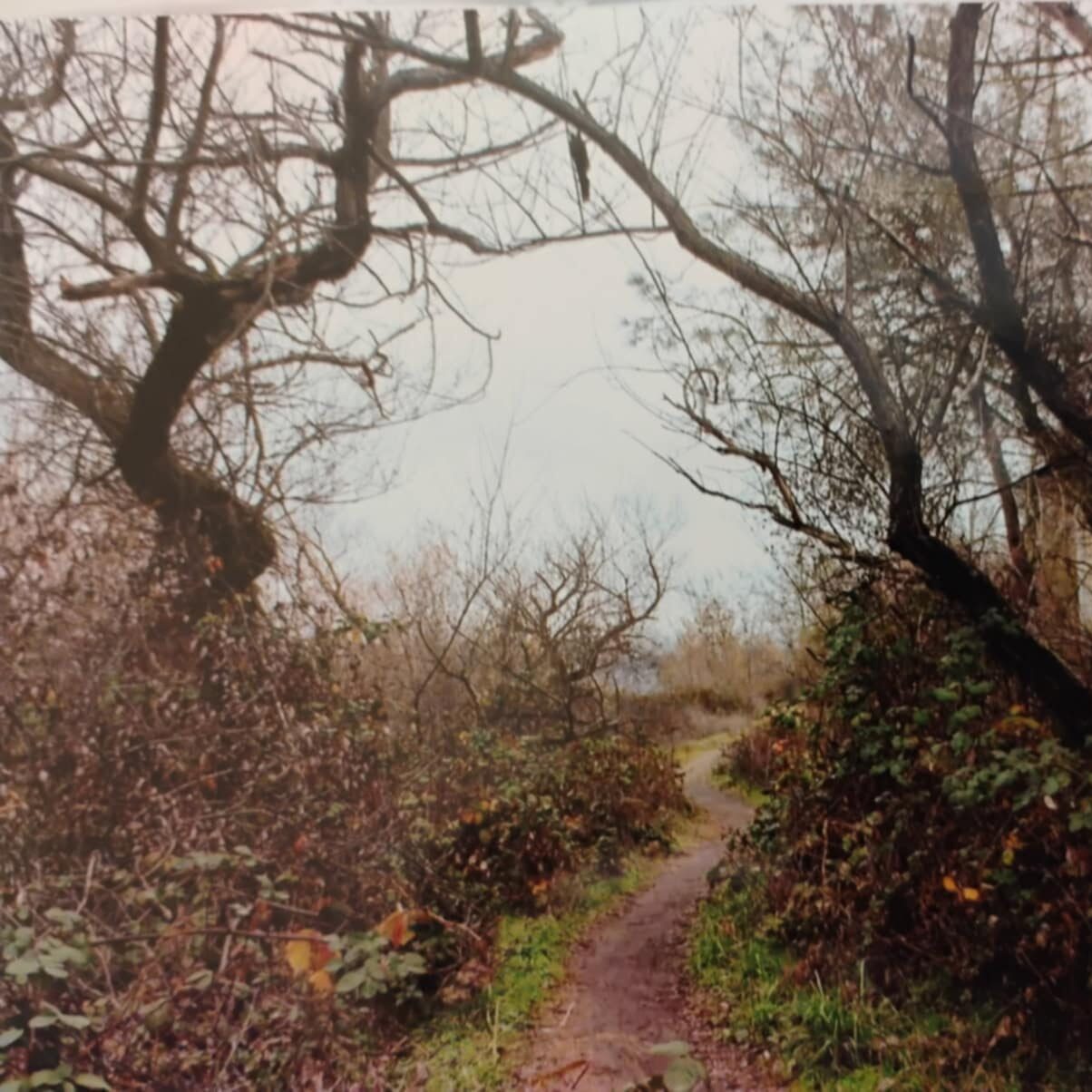 Country Roads & Paths: VIEW FINDERS